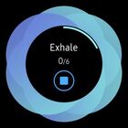 Samsung Galaxy Watch