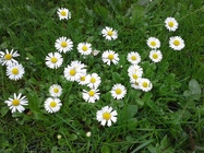 Samsung Galaxy Xcover 2