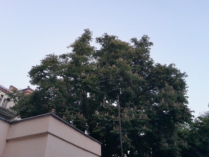 Samsung Galaxy XCover 5