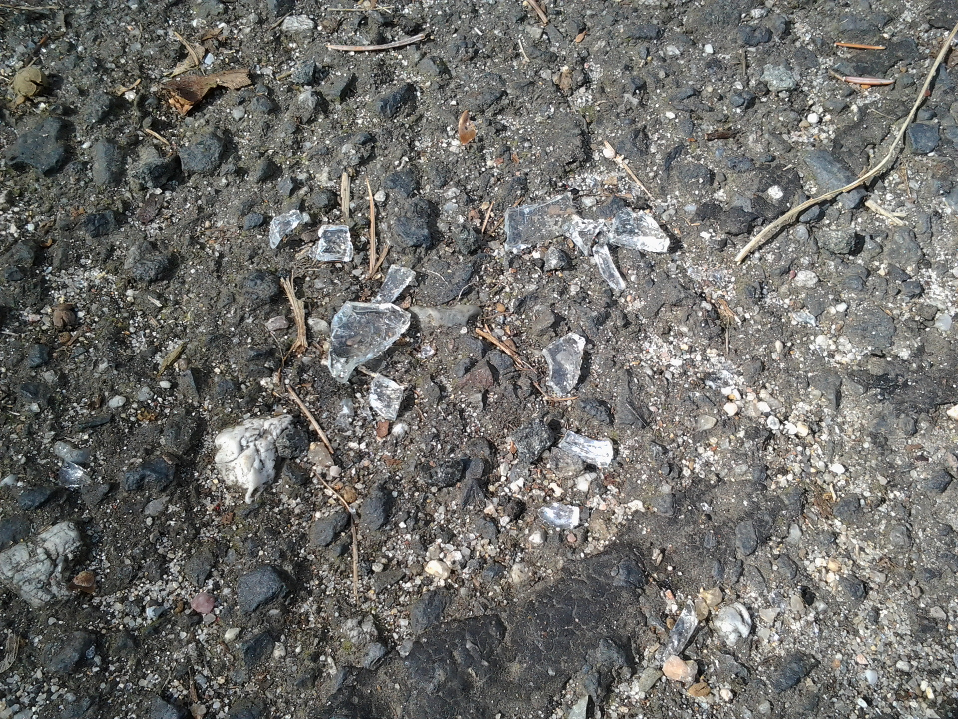 Samsung Galaxy Xcover