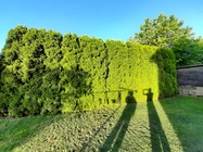 Samsung Galaxy XCover Pro