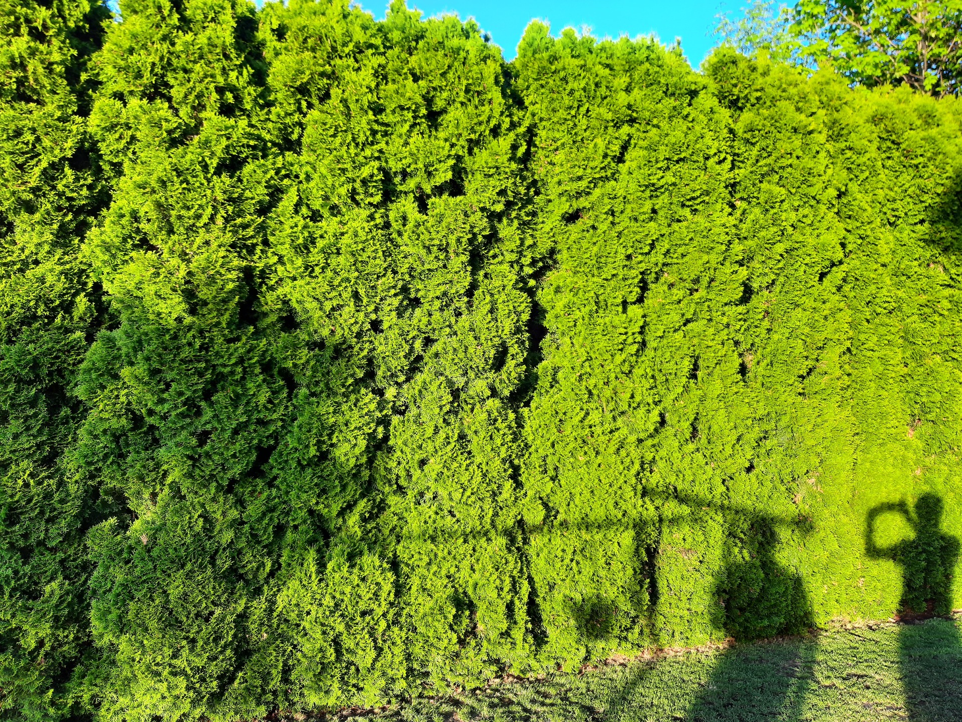 Samsung Galaxy XCover Pro