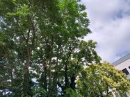 Samsung Galaxy XCover6 Pro