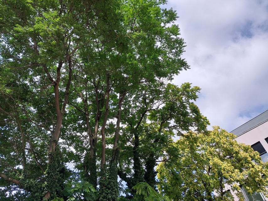 Samsung Galaxy XCover6 Pro