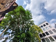 Samsung Galaxy XCover6 Pro