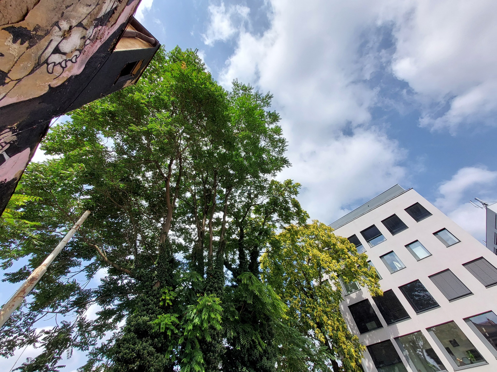 Samsung Galaxy XCover6 Pro