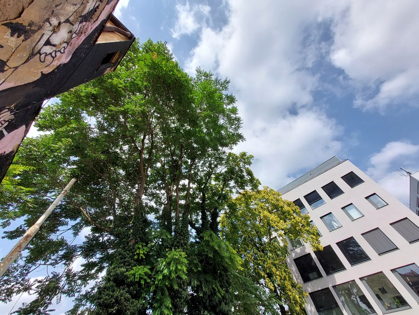 Samsung Galaxy XCover6 Pro