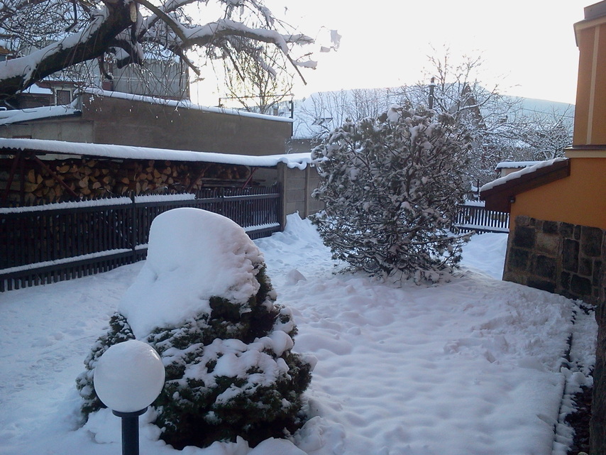 Samsung Galaxy Y Pro