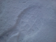 Samsung Galaxy Y Pro