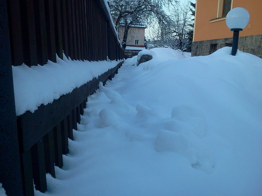 Samsung Galaxy Y Pro