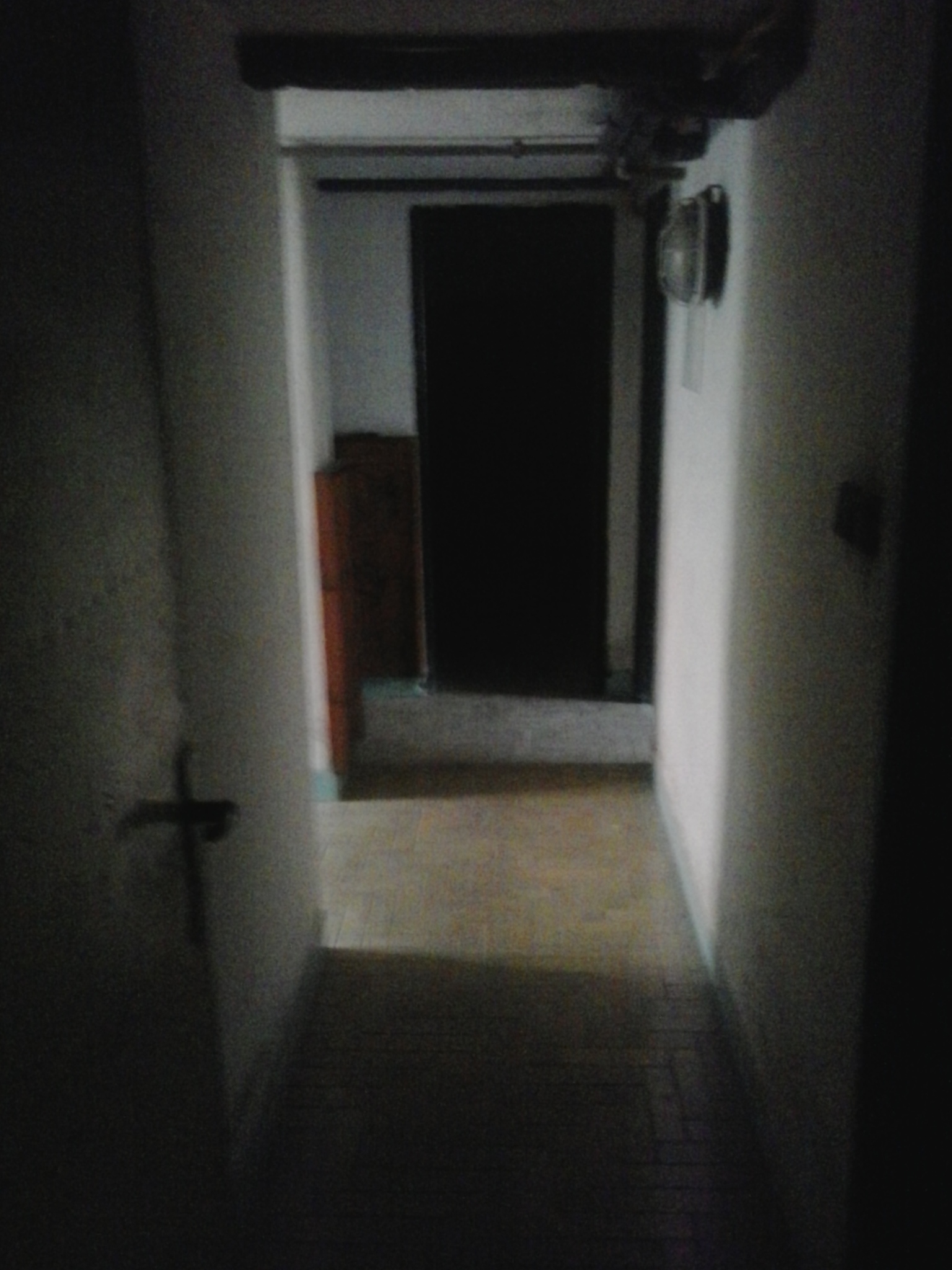 Samsung Galaxy Young