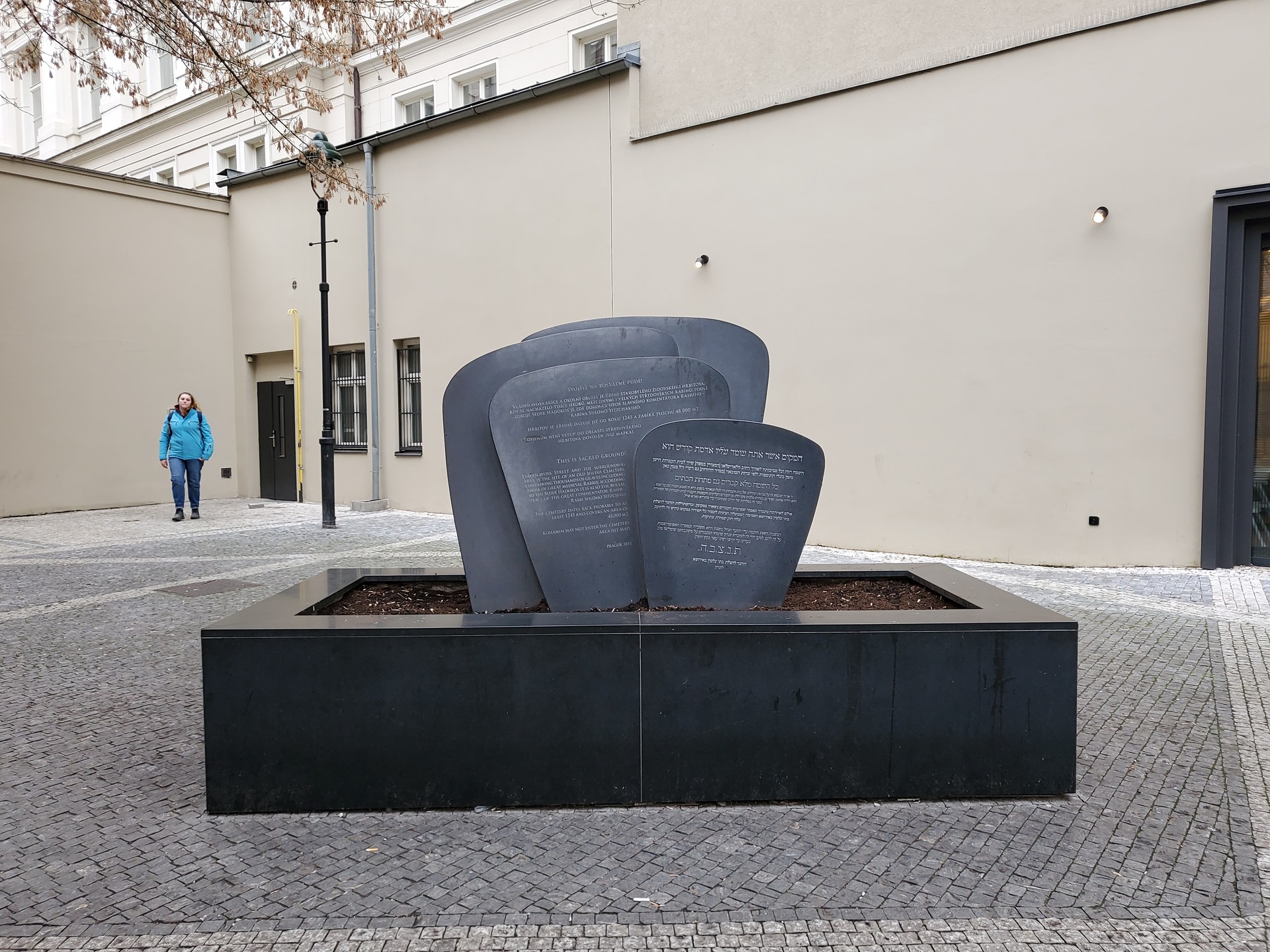 Samsung Galaxy Z Flip