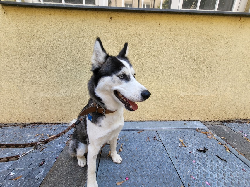 Samsung Galaxy Z Flip3