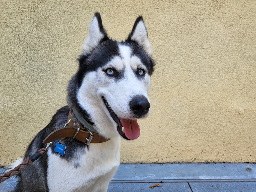 Samsung Galaxy Z Flip3