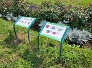 Samsung Galaxy Z Flip3