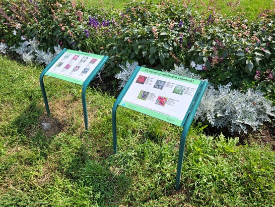 Samsung Galaxy Z Flip3