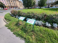 Samsung Galaxy Z Flip3