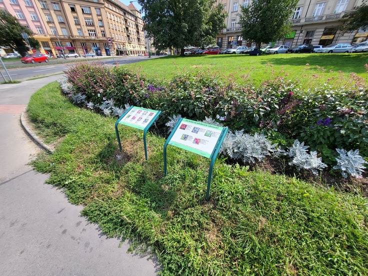 Samsung Galaxy Z Flip3