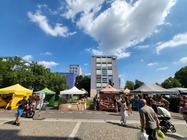 Samsung Galaxy Z Flip3