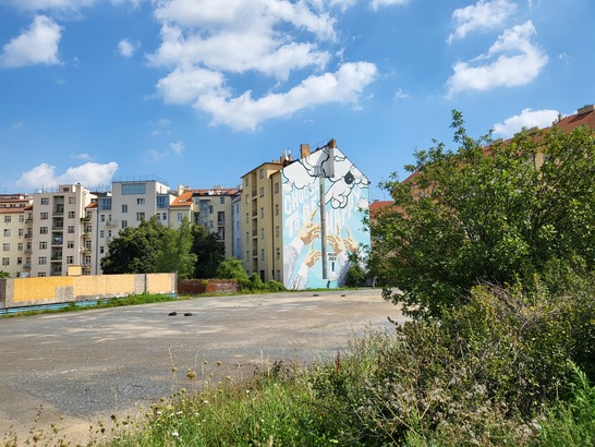 Samsung Galaxy Z Flip3