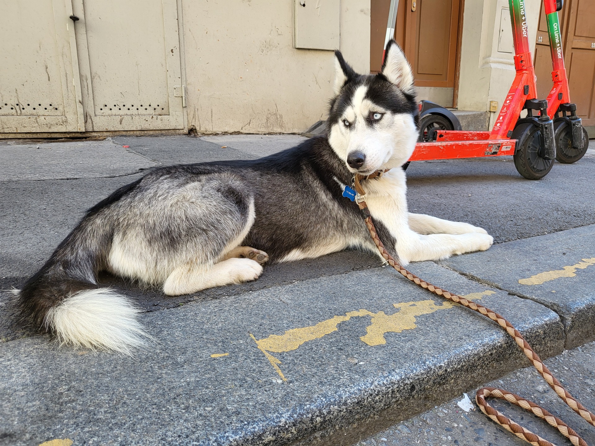 Samsung Galaxy Z Flip3