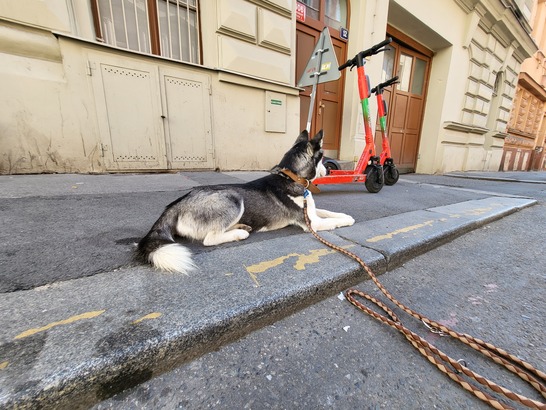 Samsung Galaxy Z Flip3