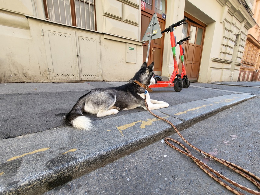 Samsung Galaxy Z Flip3