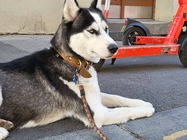 Samsung Galaxy Z Flip3