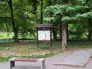 Samsung Galaxy Z Flip3