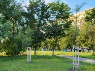 Samsung Galaxy Z Flip3