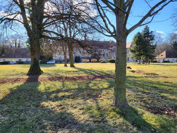 Samsung Galaxy Z Flip3