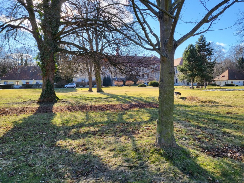 Samsung Galaxy Z Flip3