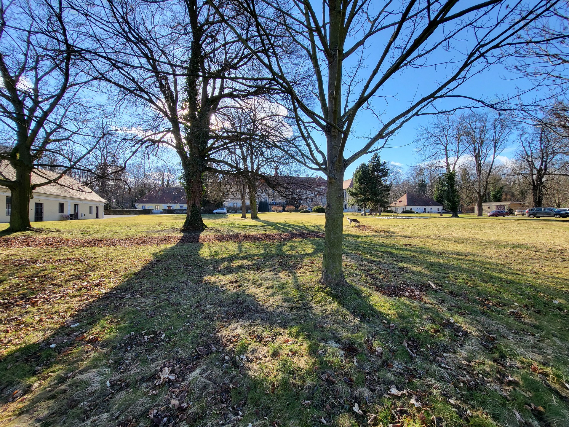 Samsung Galaxy Z Flip3