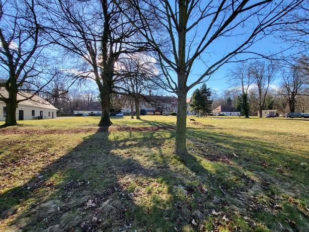 Samsung Galaxy Z Flip3