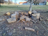 Samsung Galaxy Z Flip3