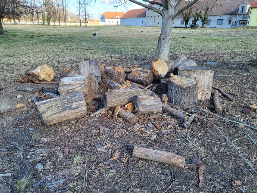 Samsung Galaxy Z Flip3