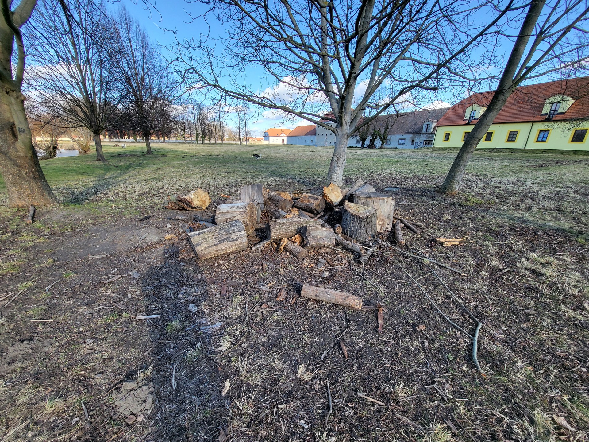 Samsung Galaxy Z Flip3