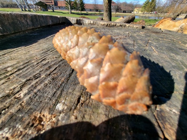 Samsung Galaxy Z Flip3