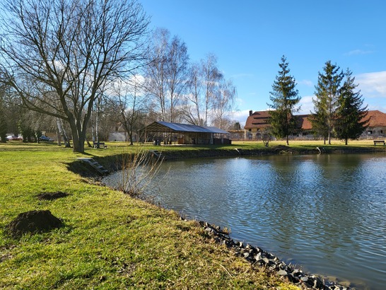 Samsung Galaxy Z Flip3