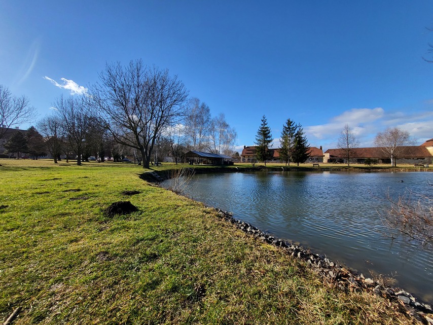 Samsung Galaxy Z Flip3