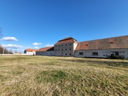 Samsung Galaxy Z Flip3