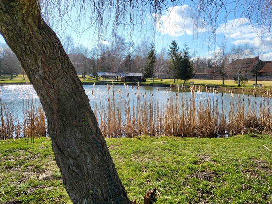 Samsung Galaxy Z Flip3