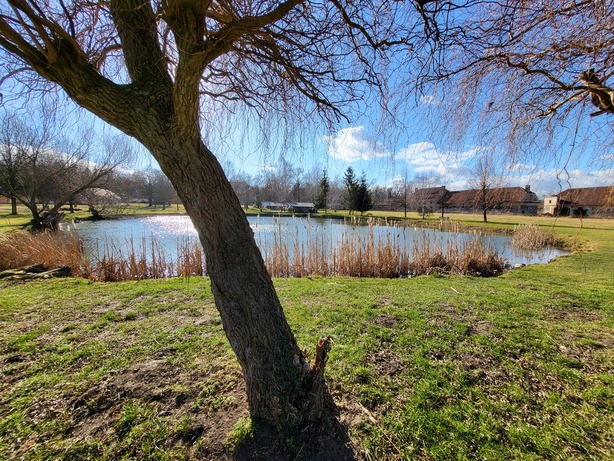 Samsung Galaxy Z Flip3