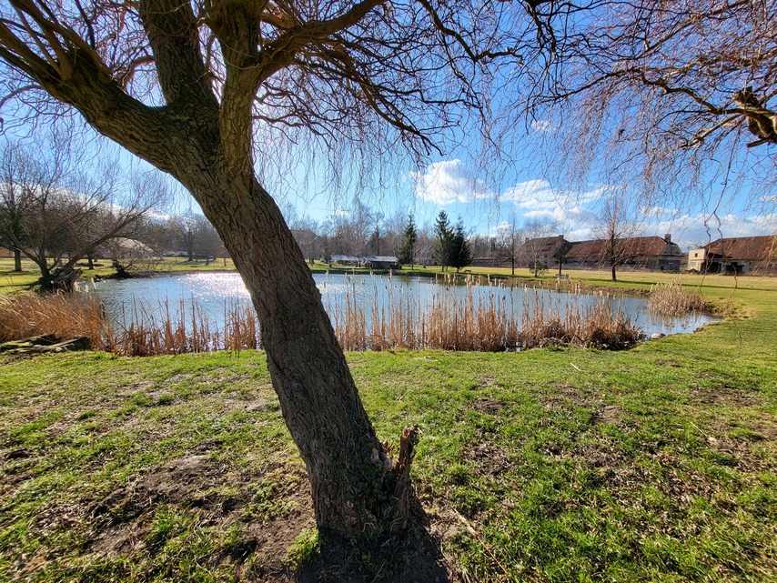 Samsung Galaxy Z Flip3