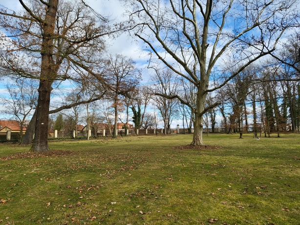 Samsung Galaxy Z Flip3