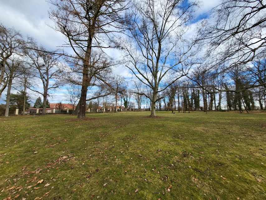 Samsung Galaxy Z Flip3