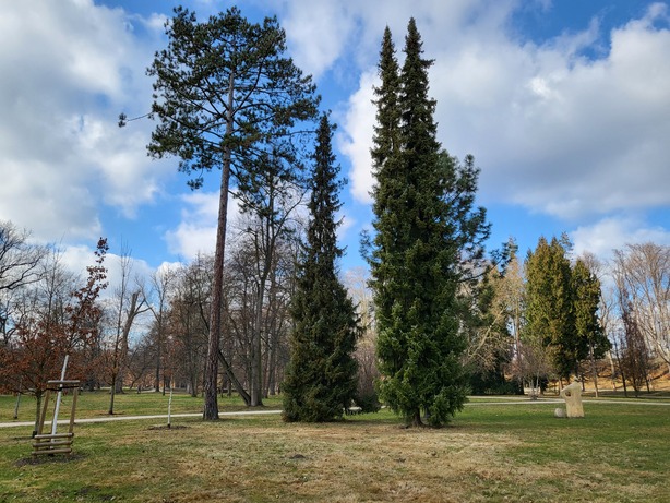 Samsung Galaxy Z Flip3