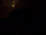 Samsung Galaxy Z Flip3