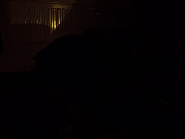 Samsung Galaxy Z Flip3