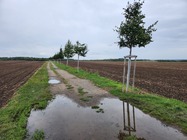 Samsung Galaxy Z Flip4